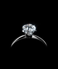 The Princess Collection